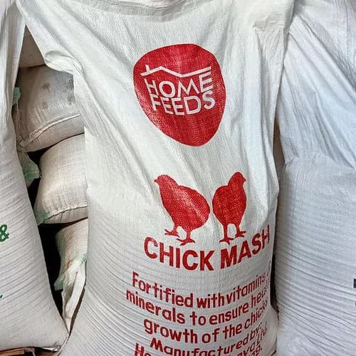 Chick Mash