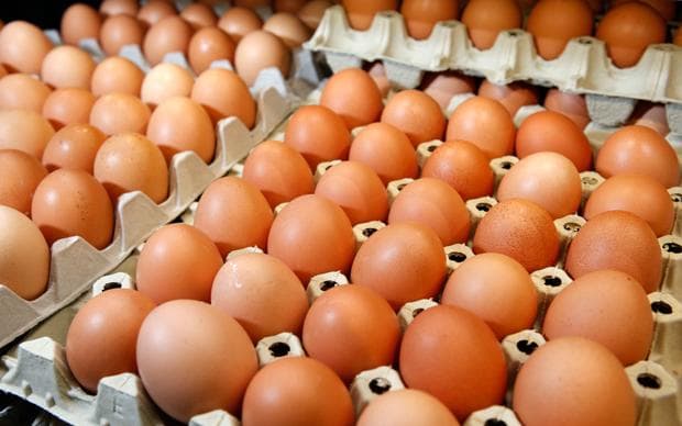Fresh Farm Eggs